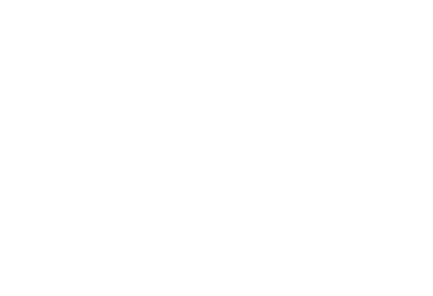 logo blanco
